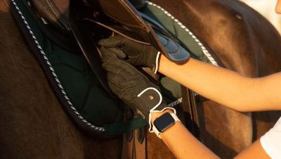 Enfermedades Cardiovasculares y Respiratorias en Caballos