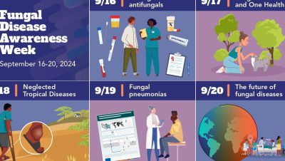 Salud y Enfermedades de Hurones