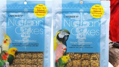 Nutrición y Dieta en Loros
