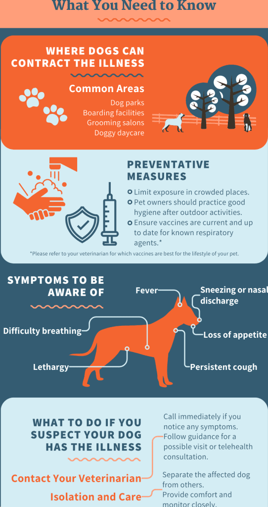 Enfermedades del Sistema Respiratorio en Perros