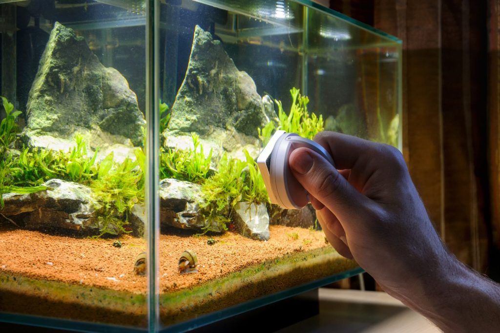Problemas Ambientales y de Manejo en Peces