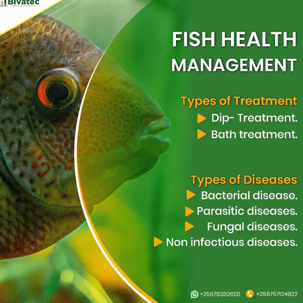 Enfermedades Infecciosas en Peces