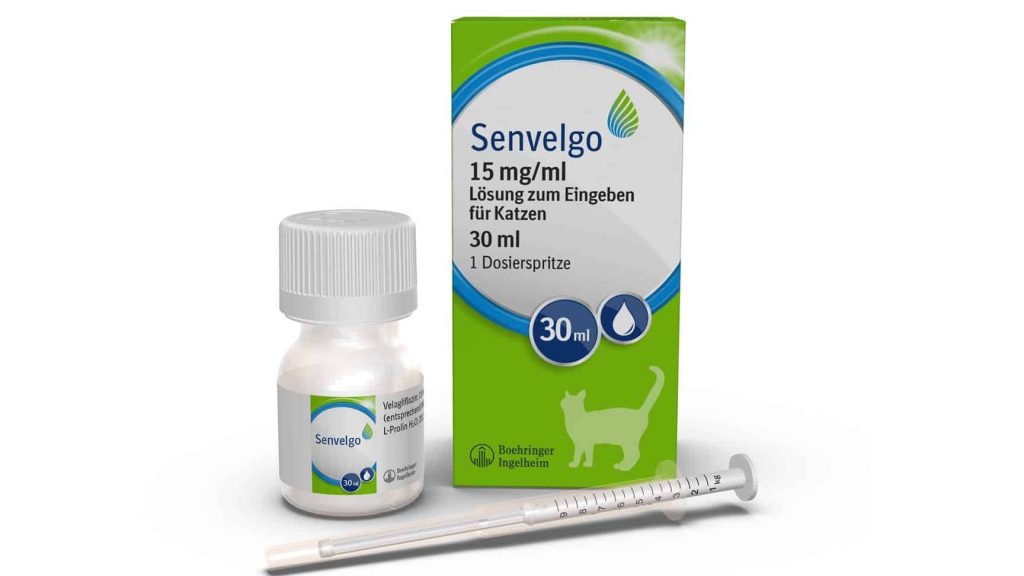 Enfermedades y Condiciones Médicas Felinas