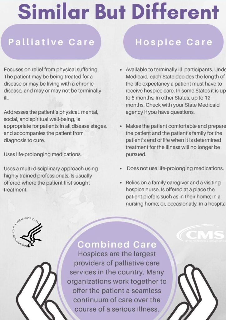 Cuidados Preventivos y Veterinarios para Serpientes