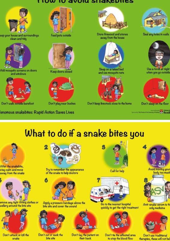 Cuidados Preventivos y Veterinarios para Serpientes