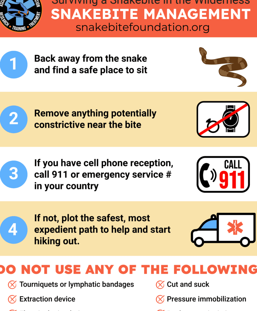 Cuidados Preventivos y Veterinarios para Serpientes