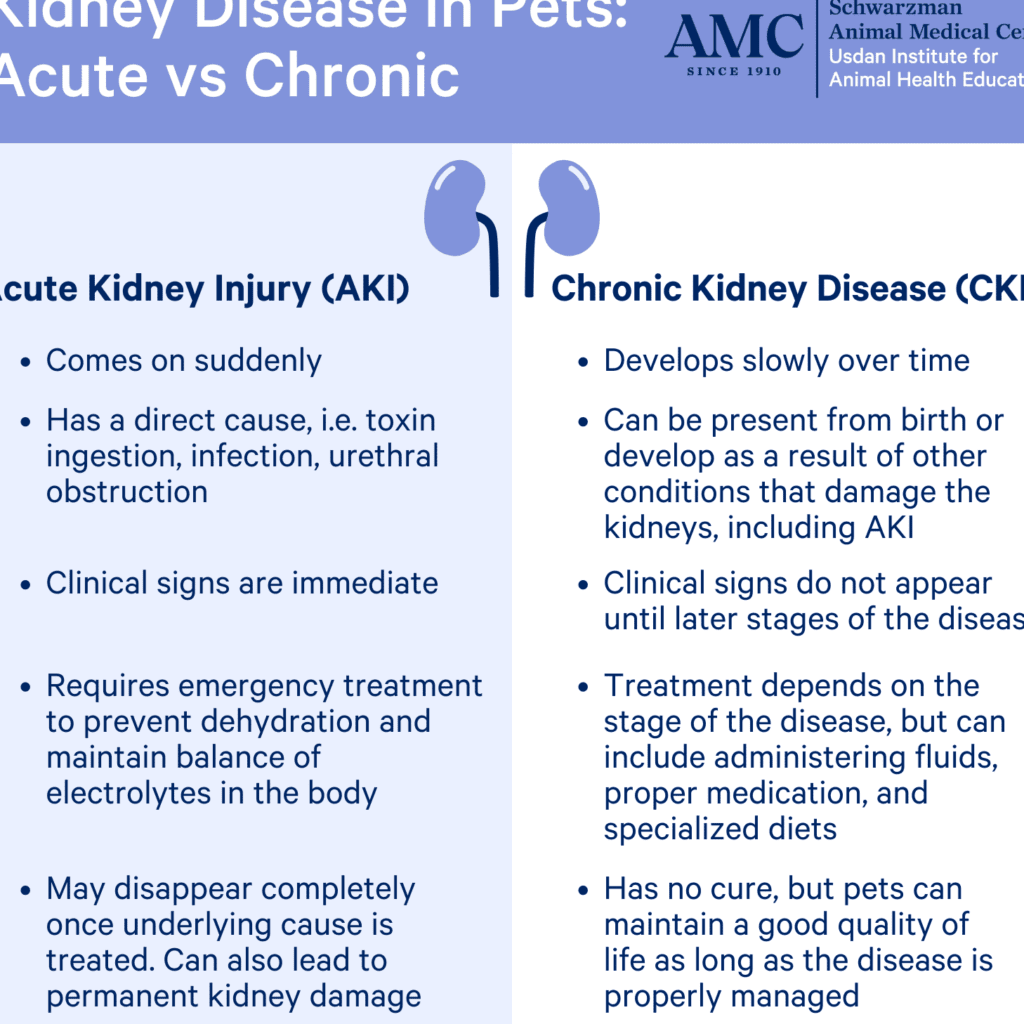 Enfermedades del Sistema Urogenital en Perros