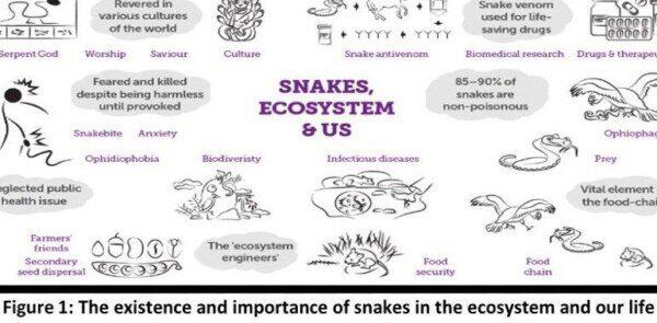 Hábitat y Acondicionamiento Ambiental para Serpientes
