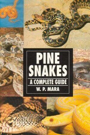 Cuidados Preventivos y Veterinarios para Serpientes