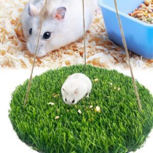Entorno y Estimulación en Hámsteres