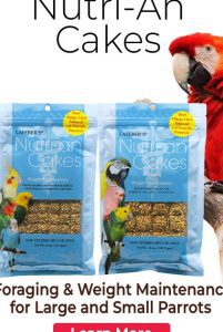 Nutrición y Dieta en Loros