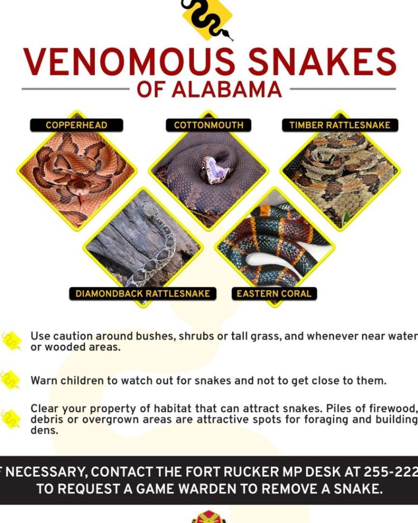 Nutrición y Dietas para Serpientes