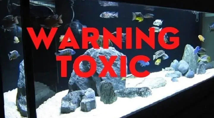 Problemas Ambientales y de Manejo en Peces