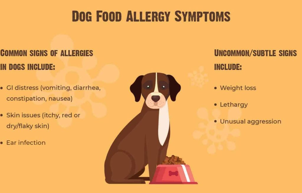 Nutrición en Perros