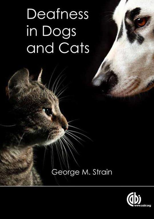 Salud Ocular y Auditiva en Gatos