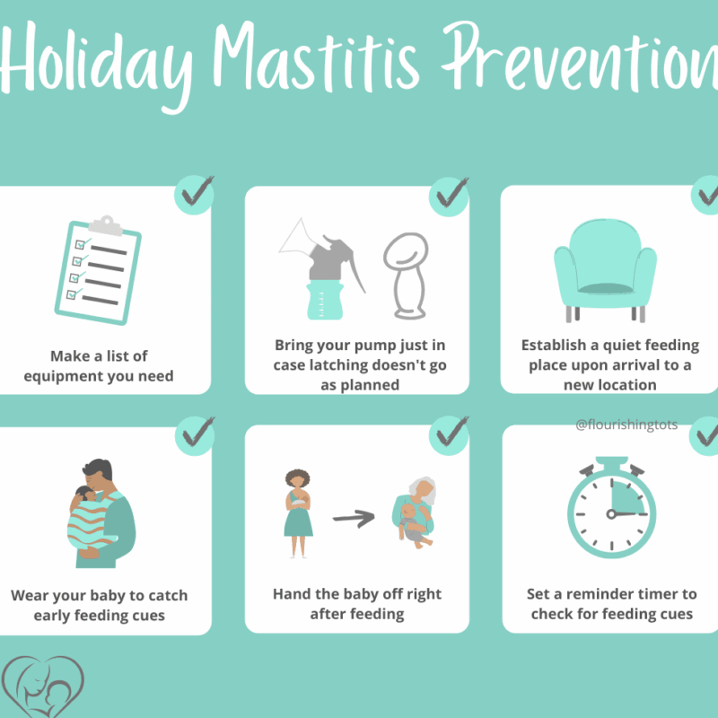 Cuidado y Manejo Reproductivo en Caballos