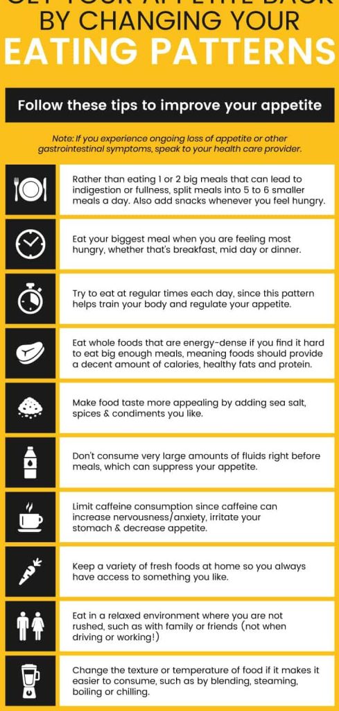 Salud y Enfermedades de Hurones