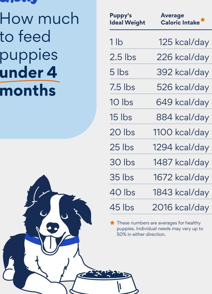Nutrición en Perros