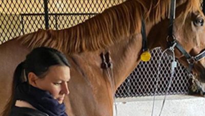 Enfermedades Cardiovasculares y Respiratorias en Caballos