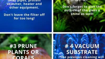 Problemas Ambientales y de Manejo en Peces