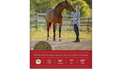 Trastornos Nutricionales y Metabólicos en Caballos