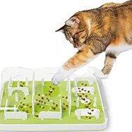 Salud Mental y Comportamiento Felino