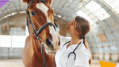 Lesiones y Rehabilitación en Caballos