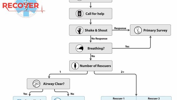 Enfermedades Infecciosas y Parasitarias en Perros