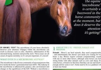 Trastornos Nutricionales y Metabólicos en Caballos