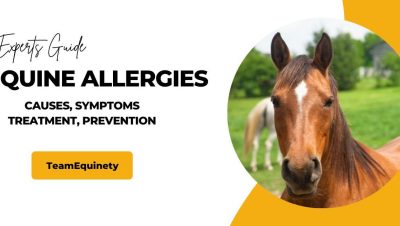 Enfermedades Cardiovasculares y Respiratorias en Caballos