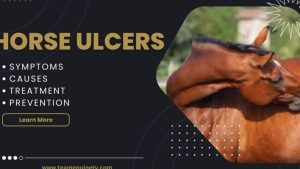 Enfermedades Infecciosas y Parasitarias en Caballos