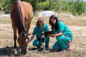 Enfermedades Infecciosas y Parasitarias en Caballos