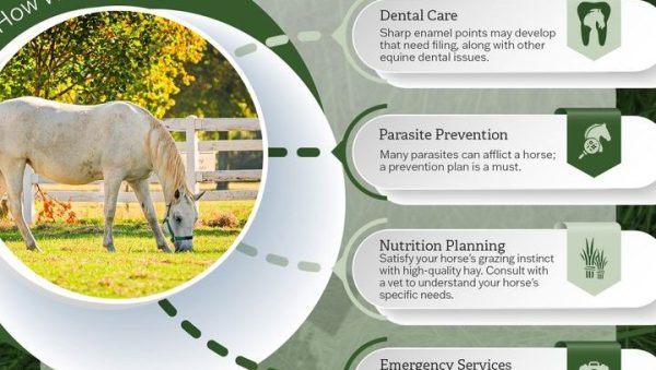 Prevención Vacunación y Bioseguridad en Caballos