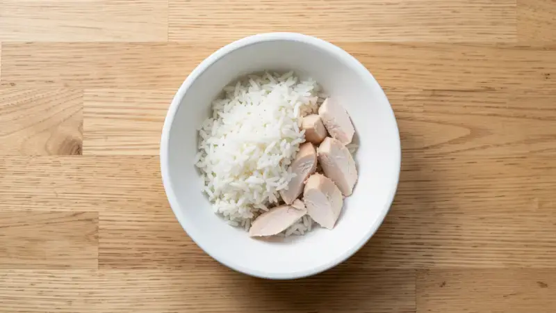 Bol con arroz blanco y pollo cocido para perro con gastritis - dieta blanda digestiva